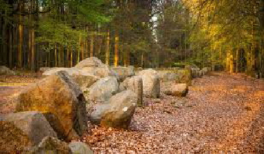Braut