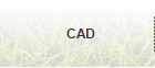 CAD