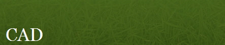 CAD