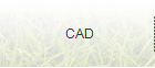 CAD